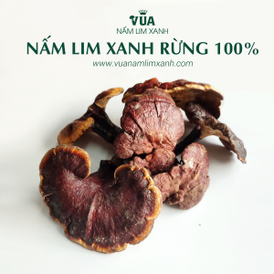 nam-lim-xanh-rung-100 (2)