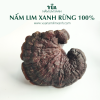 nam-lim-xanh-rung-100 (3)